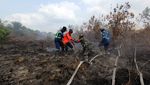 Musim Kemarau Tiba, Karhutla Membara