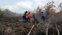 Kebakaran lahan melanda lima kecamatan di daerah tersebut yakni Kecamatan Dumai Timur, Dumai Barat, Dumai Selatan, Medang Kampai, dan Sungai Sembilan akibat cuaca panas yang terjadi dalam dua pekan terakhir dan diperkirakan luas lahan yang terbakar mencapai 15 hektare. ANTARA FOTO/Aswaddy Hamid