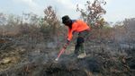 Musim Kemarau Tiba, Karhutla Membara
