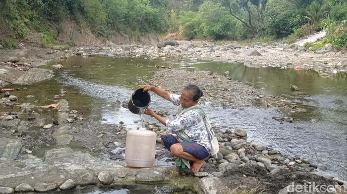 Surni saat mengisi jerikennya dengan air karena kekeringan di esa Ciomas, Kecamatan Bantarkawung, Brebes, Rabu (31/7/2024).