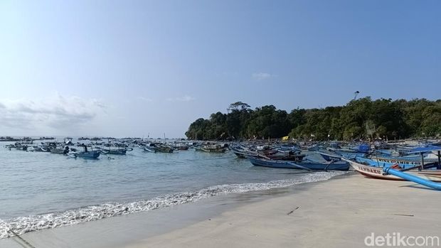 Lokasi banyak ditemukan ubur ubur botol di Pangandaran