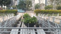 Menurut Purnama yang menikmati tempat ini bukan hanya warga apartemen di sekitaran River Walk Epicentrum saja, tapi juga warga-warga lainnya di sekitar wilayah ini juga kerap menikmati hari ini di sini. Terlebih saat akhir pekan seperti Sabtu dan Minggu.  