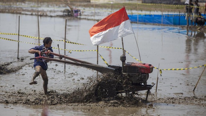 Lomba balap traktor di Indramayu Peserta memacu traktor saat mengikuti lomba balap traktor sawah di Desa Pekandangan Jaya, Indramayu, Jawa Barat, Rabu (31/7/2024). Lomba balap traktor sawah yang digelar Pemkab Indramayu itu sebagai ungkapan rasa syukur atas hasil panen sekaligus menyongsong musim tanam. ANTARA FOTO/Dedhez Anggara/nz.