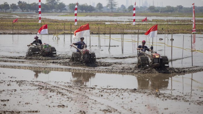 Peserta memacu traktor saat mengikuti lomba balap traktor sawah di Desa Pekandangan Jaya, Indramayu, Jawa Barat, Rabu (31/7/2024). Lomba balap traktor sawah yang digelar Pemkab Indramayu itu sebagai ungkapan rasa syukur atas hasil panen sekaligus menyongsong musim tanam. ANTARA FOTO/Dedhez Anggara/nz.
