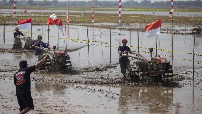 Peserta memacu traktor saat mengikuti lomba balap traktor sawah di Desa Pekandangan Jaya, Indramayu, Jawa Barat, Rabu (31/7/2024). Lomba balap traktor sawah yang digelar Pemkab Indramayu itu sebagai ungkapan rasa syukur atas hasil panen sekaligus menyongsong musim tanam. ANTARA FOTO/Dedhez Anggara/nz.