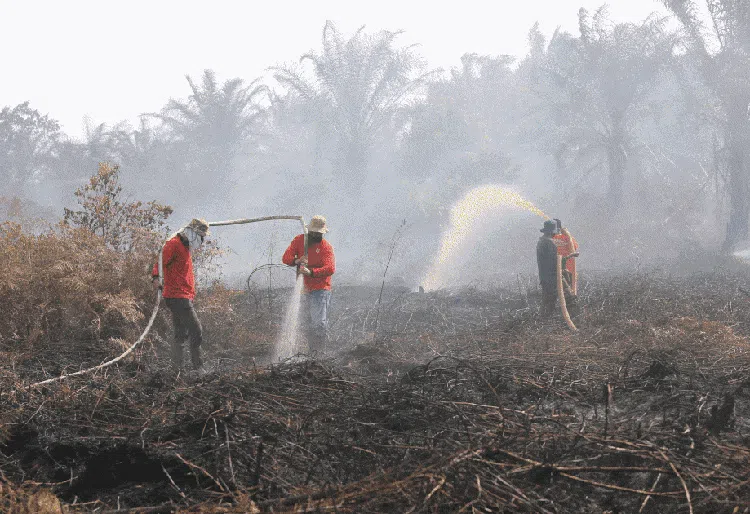 Musim Kemarau Tiba, Karhutla Membara