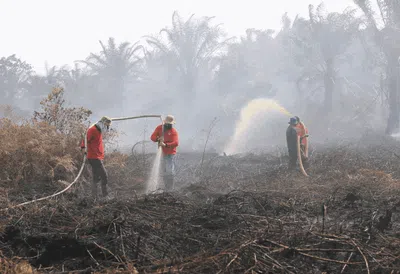 Musim Kemarau Tiba, Karhutla Membara