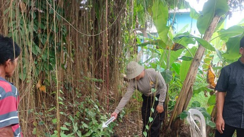 Olah TKP penemuan bayi perempuan yang ditemukan warga dibawah pohon asam di Desa Terara Kecanatan Terara Lotim, Rabu (31/7/2024). Foto: (Istimewa)