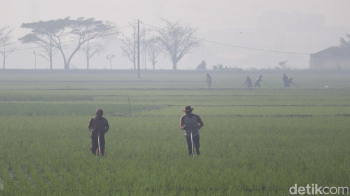 Petani Selokanjerut Bandung.
