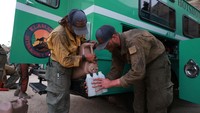 Ribuan petugas pemadam kebakaran berjuang melawan kebakaran hutan yang meluas dengan cepat.   
