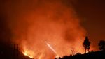 Potret Perjuangan Petugas Padamkan Kebakaran Dahsyat di Hutan California