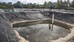 Potret Proyek Budidaya Udang Vaname di Halmahera Barat Terbengkalai