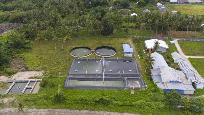 Foto udara kondisi kolam budidaya udang vaname yang tidak difungsikan di Desa Tuada Kabupaten Halmahera Barat, Maluku Utara, Rabu (31/7/2024). Proyek pembangunan tambak budidaya udang vaname milik Dinas Kelautan dan Perikanan (DKP) Provinsi Maluku Utara yang dibagun mengunakan APDB  Provinsi Maluku Utara tahun 2022 itu menghabiskan anggaran sebesar Rp2 miliar tersebut, kini kondisinya terbangkali dan tidak difungsikan dengan baik sehingga tidak dapat meningkatkan produksi udang vaname dan ekonomi masyarakat di daerah itu. ANTARA FOTO/Andri Saputra/Spt.