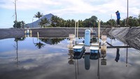 Kini kondisinya terbangkalai dan tidak difungsikan dengan baik sehingga tidak dapat meningkatkan produksi udang vaname dan ekonomi masyarakat di daerah itu.