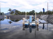 Potret Proyek Budidaya Udang Vaname di Halmahera Barat Terbengkalai