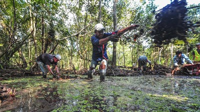 Kanal Kuno Cagar Budaya Muara Jambi Direvitalisasi