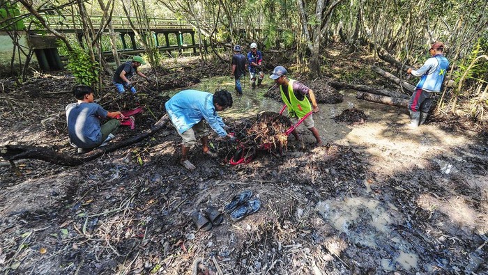 Revitalisasi Kanal Kuno KCBN Muara Jambi Pekerja membersihkan secara manual kanal kuno Buluran Tiang yang sedang surut di Kawasan Cagar Budaya Nasional (KCBN) Muara Jambi, Desa Danau Lamo, Muaro Jambi, Jambi, Rabu (31/7/2024). Kepala Balai Pelestarian Kebudayaan (BPK) Wilayah V Jambi Agus Widiatmoko menyebutkan revitalisasi kanal kuno yang dulu memiliki peran penting sebagai sistem irigasi, penampung air, pengendali banjir, dan transportasi itu ditargetkan rampung pada Oktober mendatang sebagai upaya pelestarian budaya dan perbaikan ekosistem lingkungan. ANTARA FOTO/Wahdi Septiawan/Spt.