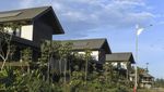 Potret Rumah Tapak Menteri di IKN