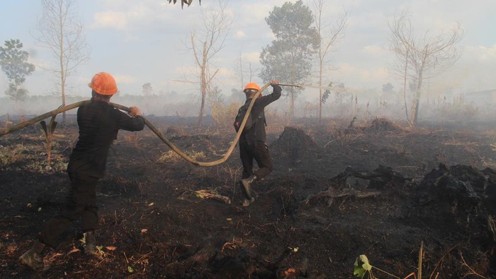Personel Sat Brimob Polda Kalbar menyemprotkan air ke lahan gambut yang terbakar dan diselimuti asap di Parit Haji Muhsin di Desa Sungai Raya Dalam, Kecamatan Sungai Raya, Kabupaten Kubu Raya, Kalimantan Barat, Jumat (26/7/2024). Pemkab Kubu Raya menetapkan status tanggap darurat bencana asap akibat kebakaran hutan dan lahan (karhutla) terhitung 25 Juli hingga 7 Agustus 2024, setelah terjadi karhutla dengan total luas 65 hektare di tiga kecamatan yaitu Sungai Raya, Sungai Kakap, dan Rasau Jaya. ANTARA FOTO/Jessica Wuysang/tom.