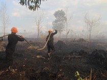 Ada 3 Titik Api Karhutla di Kubu Raya