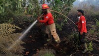 Personel Sat Brimob Polda Kalbar menyemprotkan air ke lahan gambut yang terbakar dan diselimuti asap di Parit Haji Muhsin di Desa Sungai Raya Dalam, Kecamatan Sungai Raya, Kabupaten Kubu Raya, Kalimantan Barat, Jumat (26/7/2024). ANTARA FOTO/Jessica Wuysang