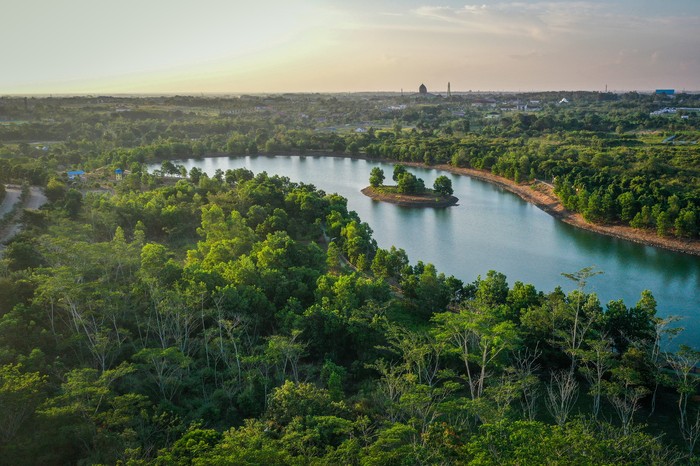 Foto udara suasana Taman Hutan Hujan Tropis Indonesia (TH2TI) di Perkantoran Pemerintah Provinsi Kalimantan Selatan, Banjarbaru, Kalimantan Selatan, Minggu (28/07/2024). TH2TI yang memiliki koleksi 50 ribu pohon dengan luas lahan tanam mencapai 90 hektare tersebut merupakan upaya pemerintah setempat untuk mempertahankan kebaradaan tanaman hutan endemik dan menjadi percontohan pembangunan hutan kota berkelanjutan (forest city) di Ibu Kota Nusantara (IKN). ANTARA FOTO/Bayu Pratama S/Spt.