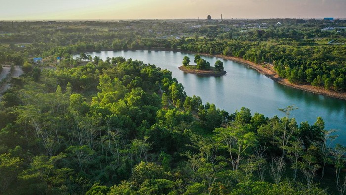 Foto udara suasana Taman Hutan Hujan Tropis Indonesia (TH2TI) di Perkantoran Pemerintah Provinsi Kalimantan Selatan, Banjarbaru, Kalimantan Selatan, Minggu (28/07/2024). TH2TI yang memiliki koleksi 50 ribu pohon dengan luas lahan tanam mencapai 90 hektare tersebut merupakan upaya pemerintah setempat untuk mempertahankan kebaradaan tanaman hutan endemik dan menjadi percontohan pembangunan hutan kota berkelanjutan (forest city) di Ibu Kota Nusantara (IKN). ANTARA FOTO/Bayu Pratama S/Spt.