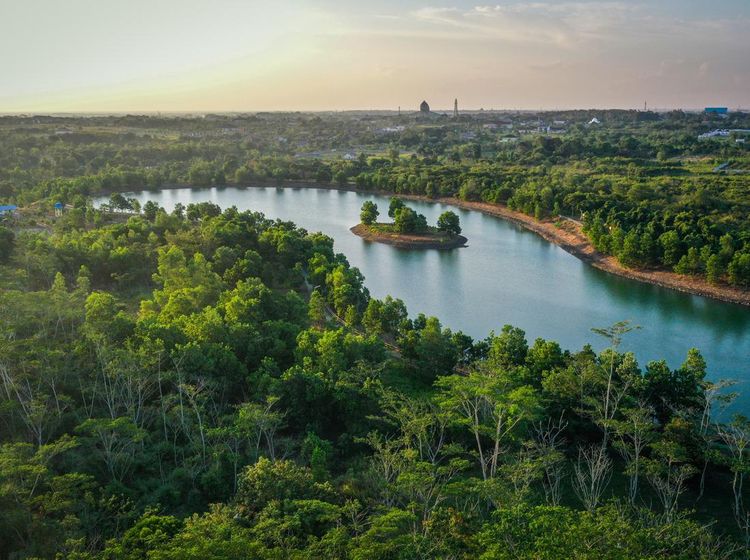 Indahnya Taman Hutan Hujan Tropis Indonesia di Kalsel