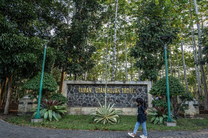 Foto udara suasana Taman Hutan Hujan Tropis Indonesia (TH2TI) di Perkantoran Pemerintah Provinsi Kalimantan Selatan, Banjarbaru, Kalimantan Selatan, Minggu (28/07/2024). TH2TI yang memiliki koleksi 50 ribu pohon dengan luas lahan tanam mencapai 90 hektare tersebut merupakan upaya pemerintah setempat untuk mempertahankan kebaradaan tanaman hutan endemik dan menjadi percontohan pembangunan hutan kota berkelanjutan (forest city) di Ibu Kota Nusantara (IKN). ANTARA FOTO/Bayu Pratama S/Spt.