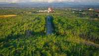 Foto udara TH2TI yang menjadi percontohan pembangunan hutan kota berkelanjutan (forest city) di Ibu Kota Nusantara (IKN).