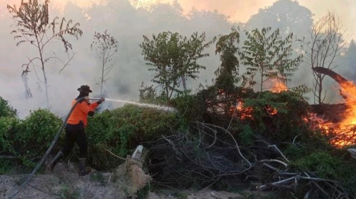 Kebakaran hutan dan lahan (Karhutla) di wilayah Muara Medak, Musi Banyuasin (Muba) belum padam. Penyekatan  dilakukan agar kebakaran tidak semakin meluas.