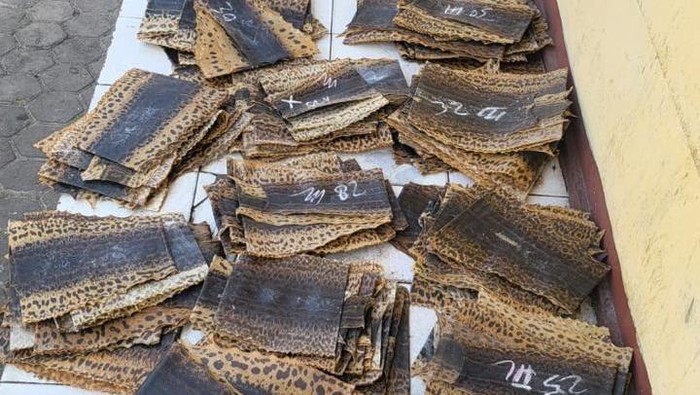 Penyelundupan 600 lembar kulit ular phyton tidak dilengkapi dokumen digagalkan polisi.