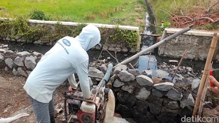 Petani menyedot air comberan untuk menyiram tanaman
