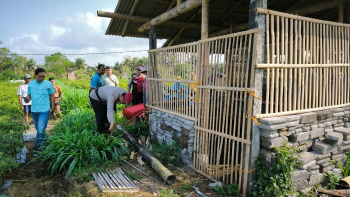 Polisi saat mengecek TKP pencurian kambing di Galur, Kulon Progo, Kamis (1/8/2024).