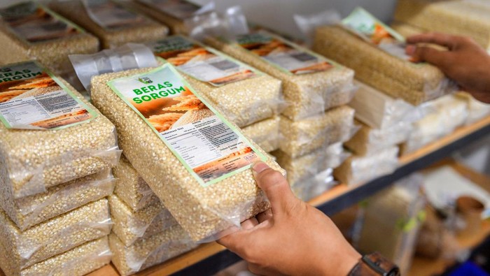Petugas menunjukkan hasil olahan sorgum di Sekemala Integrated Farming (Sein Farm), Ujung Berung, Bandung, Jawa Barat, Kamis (1/8/2024). Sein Farm Kota Bandung resmi ditunjuk sebagai pusat pengembangan sorgum di Indonesia yang dikelola oleh Pemerintah Kota Bandung dan Universitas Pasundan yang mampu memproduksi sorgum sebanyak 300 kilogram per bulan di atas lahan 3 hektare dan diolah menjadi beras, dan tepung serta menjadi alternatif pangan pengganti beras. ANTARA FOTO/Raisan Al Farisi/rwa.