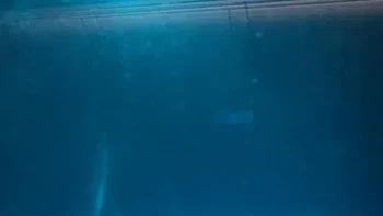 Pesawat ini bukan di dalam air.. Foto: Reddit