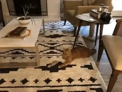 Bukan Hasil Photoshop Tapi Bikin Mata Tertipu