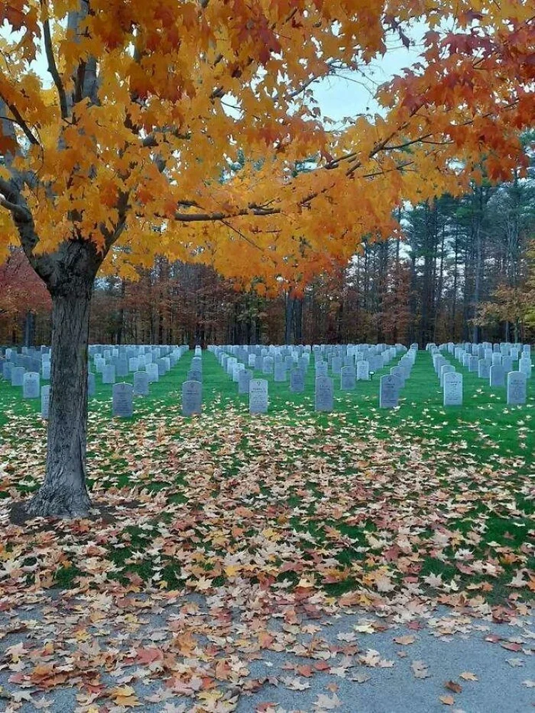 Foto Menipu Mata