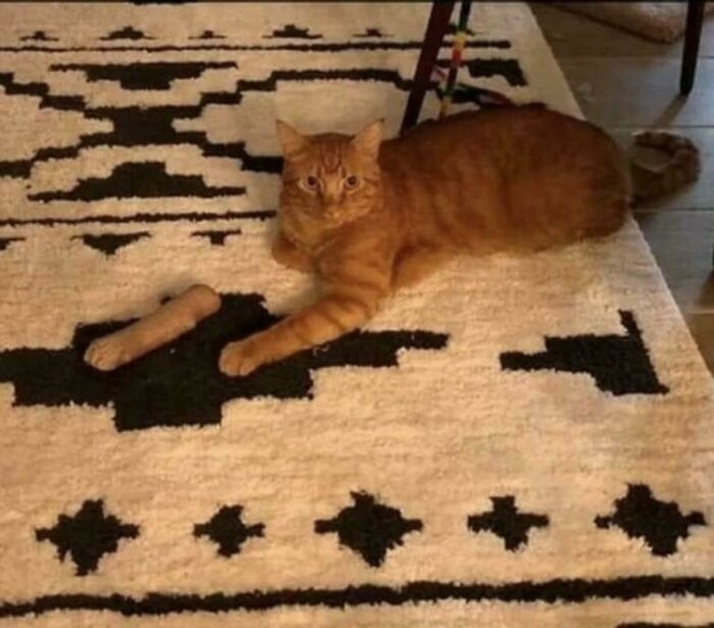 Foto yang Harus Dilihat Dua Kali Biar Nggak Salah Paham, Menipu Otak