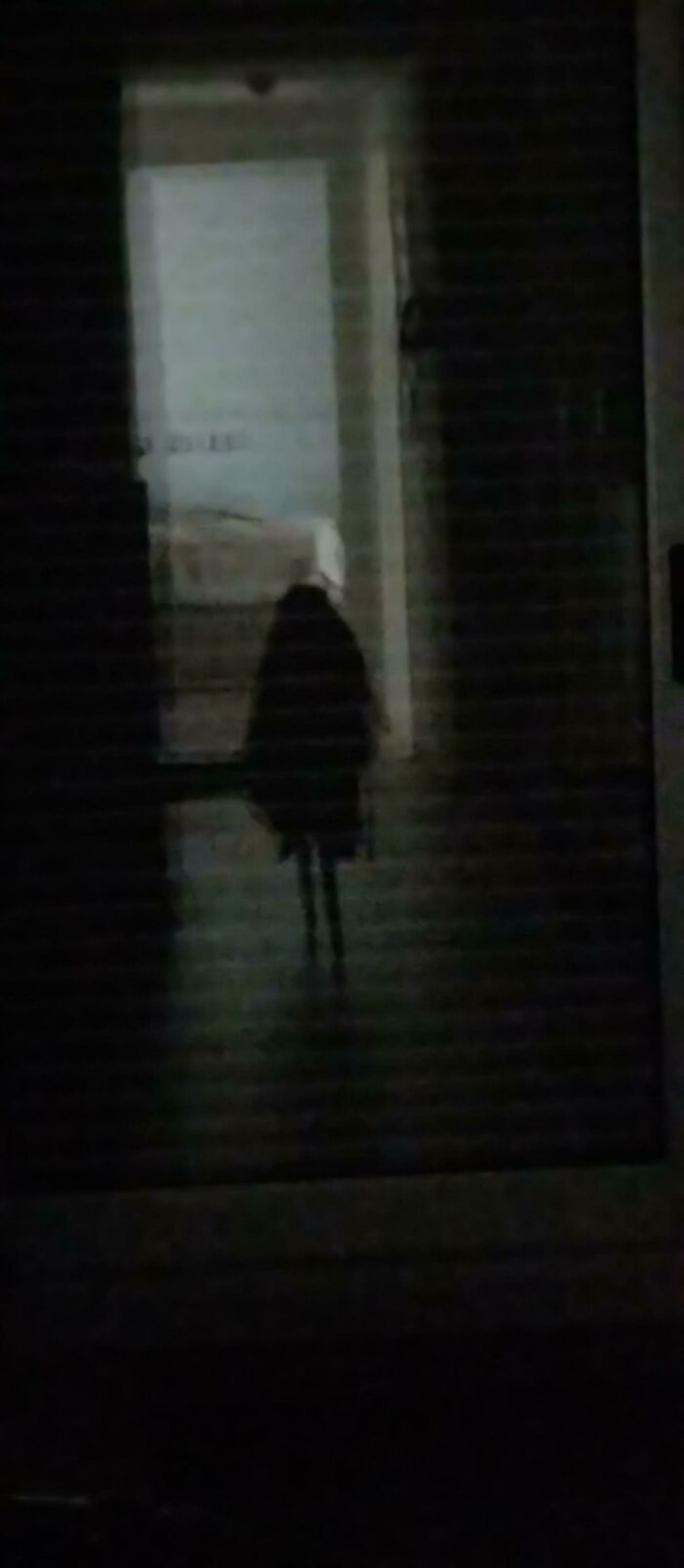 Foto yang Harus Dilihat Dua Kali Biar Nggak Salah Paham, Menipu Otak Tidak bisa sekali saja untuk mengamati foto-foto berikut ini. Kalau nggak fokus, sudah pasti salah tangkap.