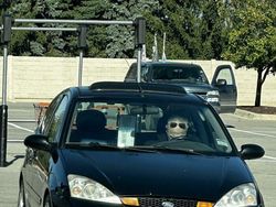 Foto yang Harus Dilihat Dua Kali Biar Nggak Salah Paham, Menipu Otak