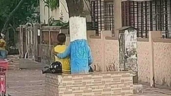 Pohon paling ramah yang pernah ada. Foto: LarryCapija26 via Bored Panda