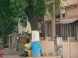 Foto yang Harus Dilihat Dua Kali Biar Nggak Salah Paham, Menipu Otak