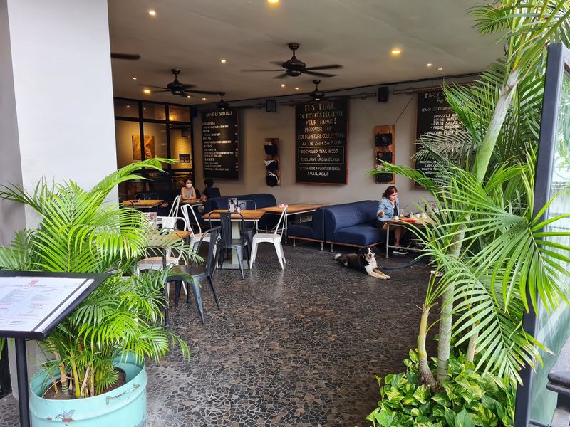 10 Kafe Nyaman dan Pet Friendly Buat Ajak Anabul Hangout