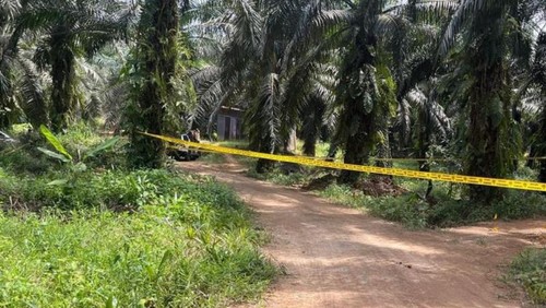 Lokasi warga asing ditemukan meninggal dengan luka tembak di kebun sawit perorangan di daerah Sepupok, Niah, Miri, Sarawak, Malaysia, Selasa (30/7/2024).