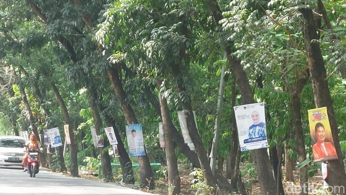 Pohon di Jalan Pramuka banyak dipasangi baliho kampanye