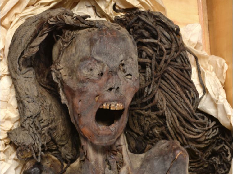 Potret Screaming Mummy, Mumi Mesir Kuno yang Kematiannya Menyakitkan