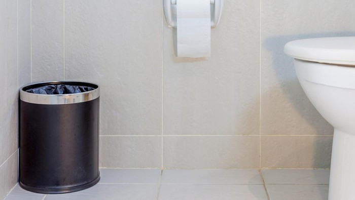 Interior of toilet seat, paper and trashcan in hygiene restroom.