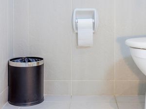 Tak Banyak yang Tahu, Ini Alasan Letak Toilet Lantai Atas dan Bawah Harus Sama