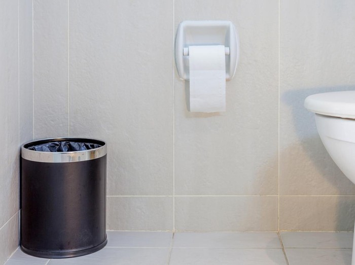 Interior of toilet seat, paper and trashcan in hygiene restroom.